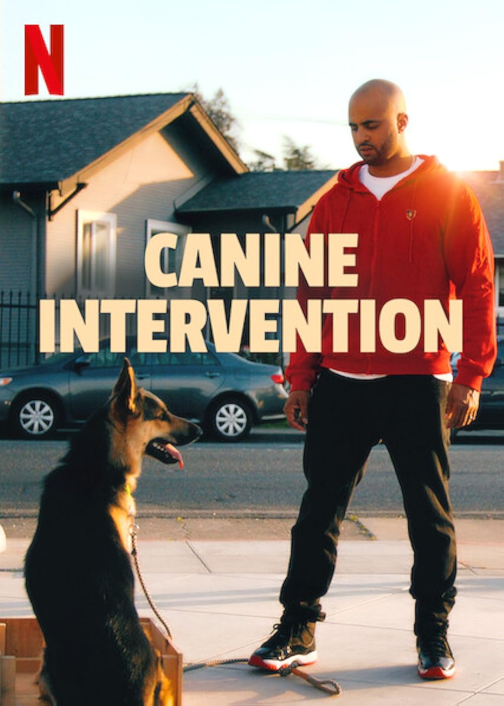 Canine Canine