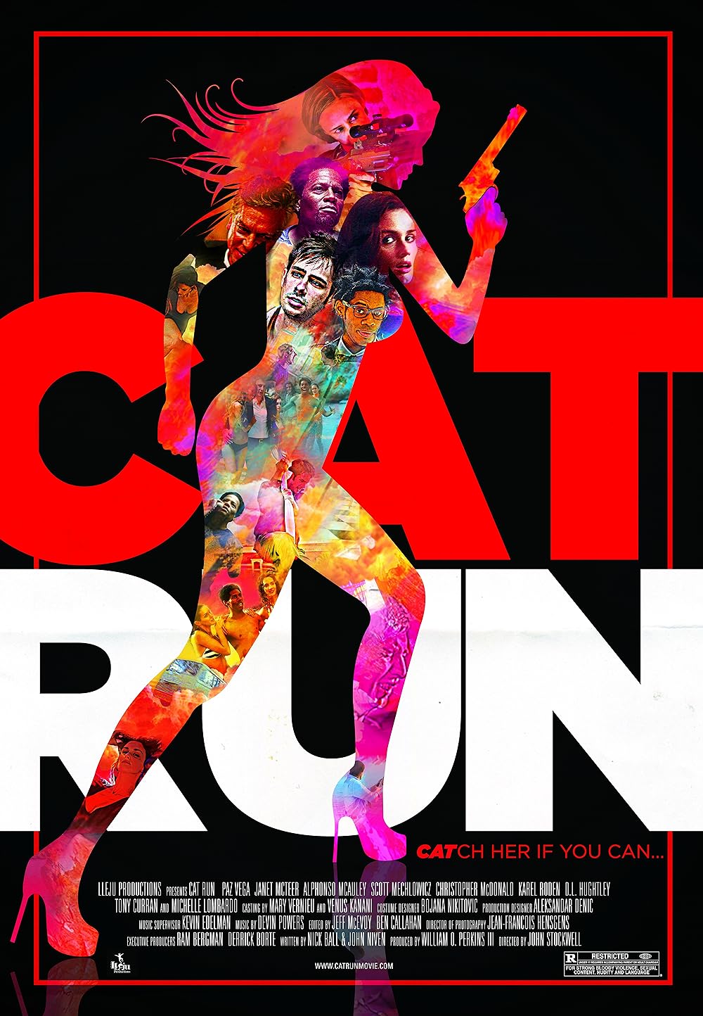 Cat Cat