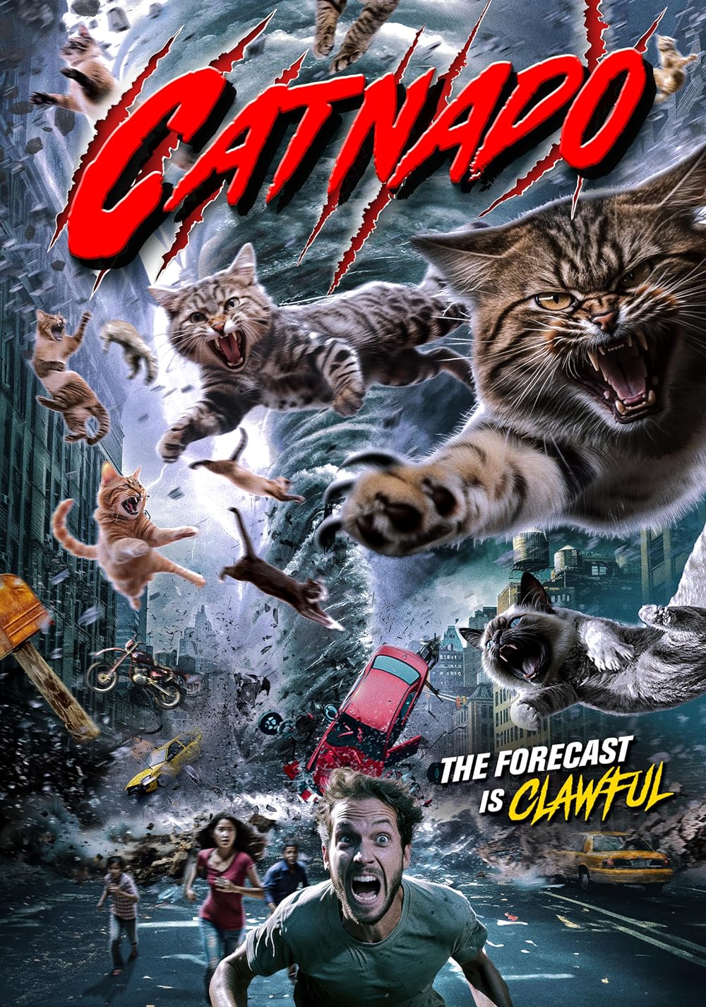 Catnado Catnado