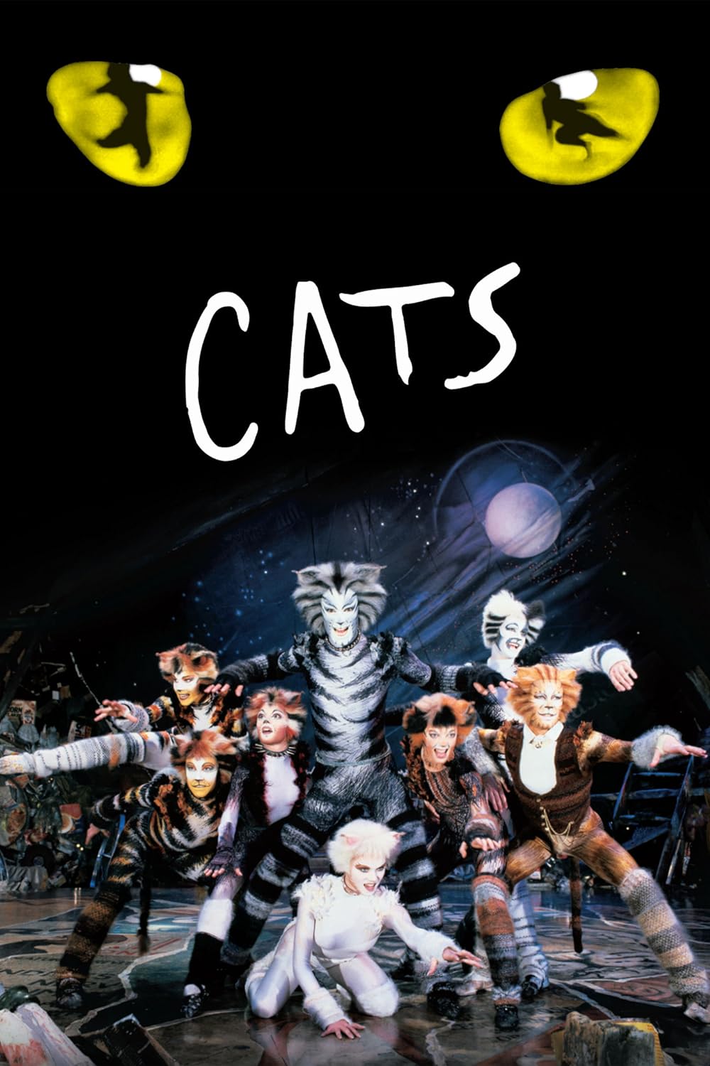 Cats Cats