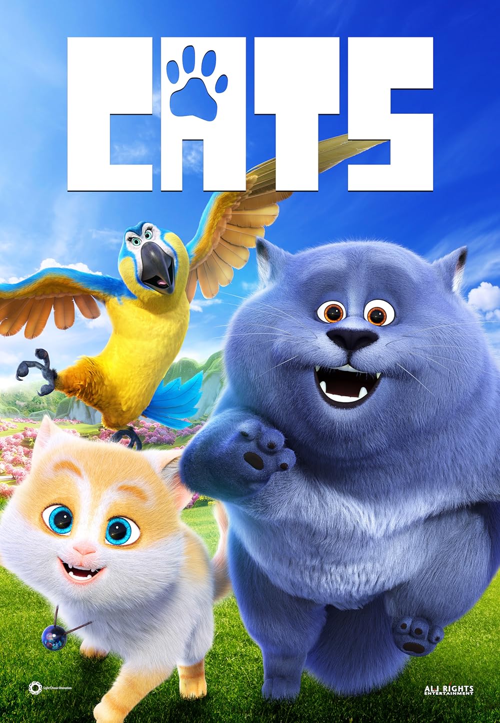Cats Cats