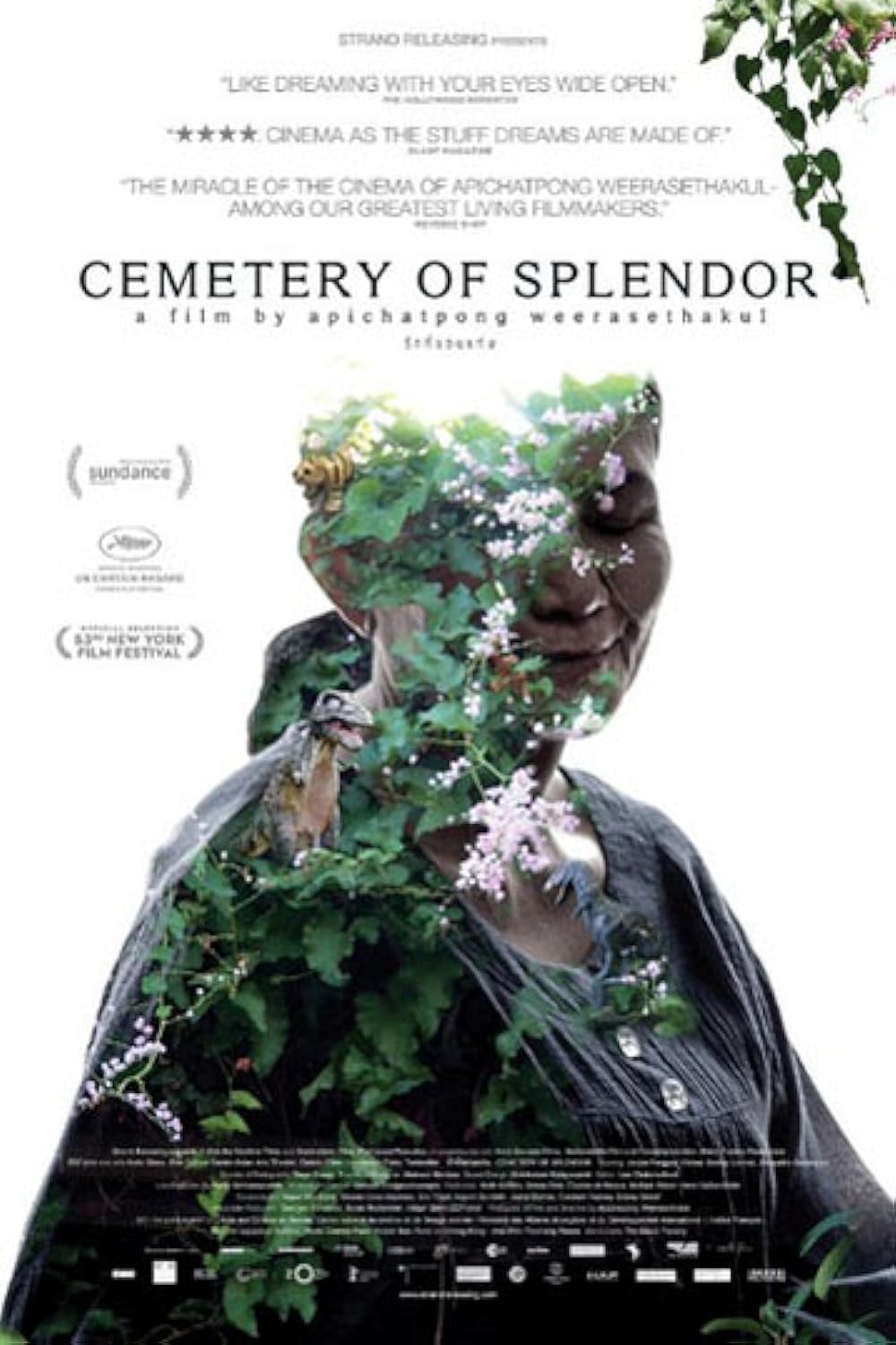 Cemetery Cemetery