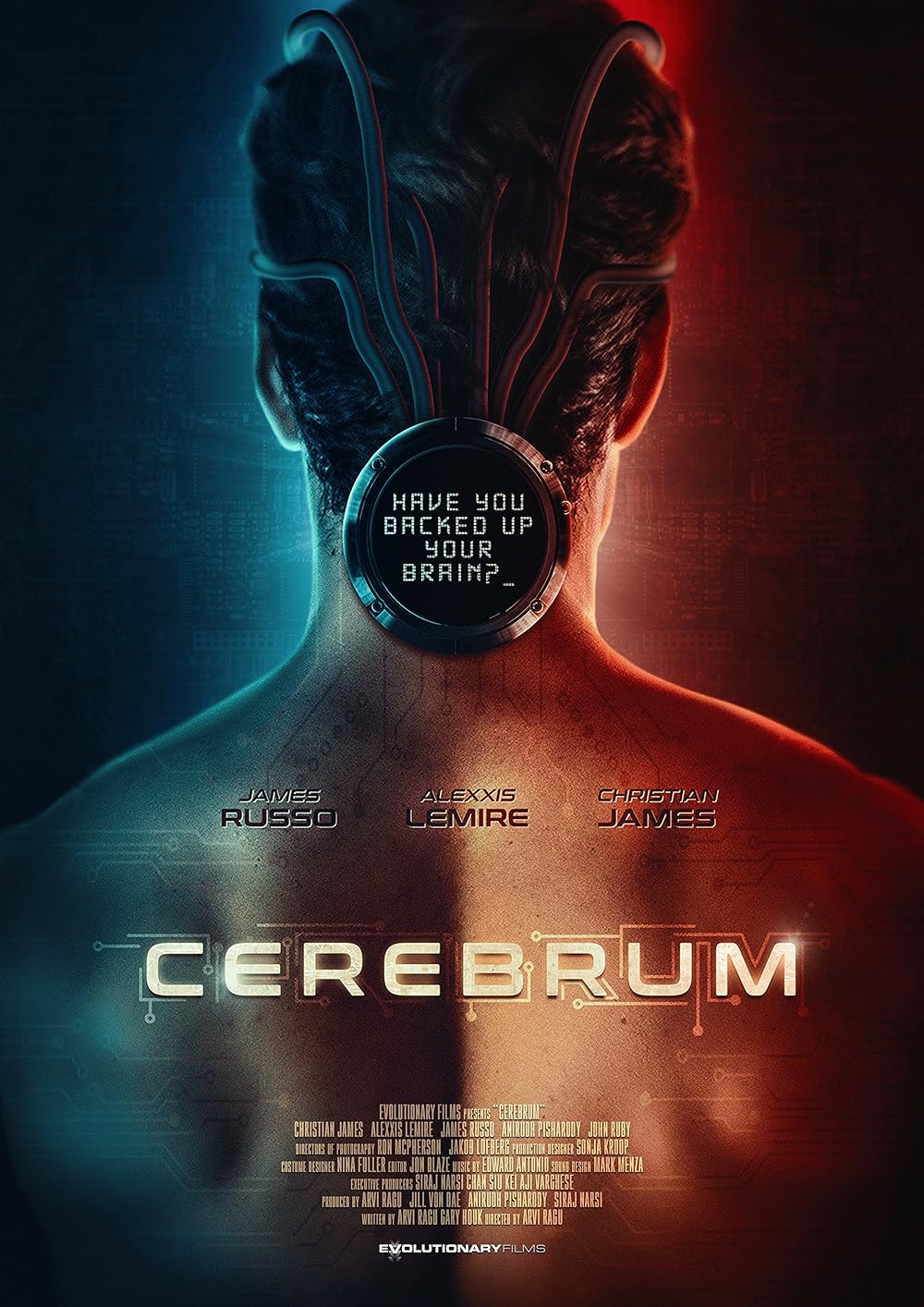 Cerebrum Cerebrum