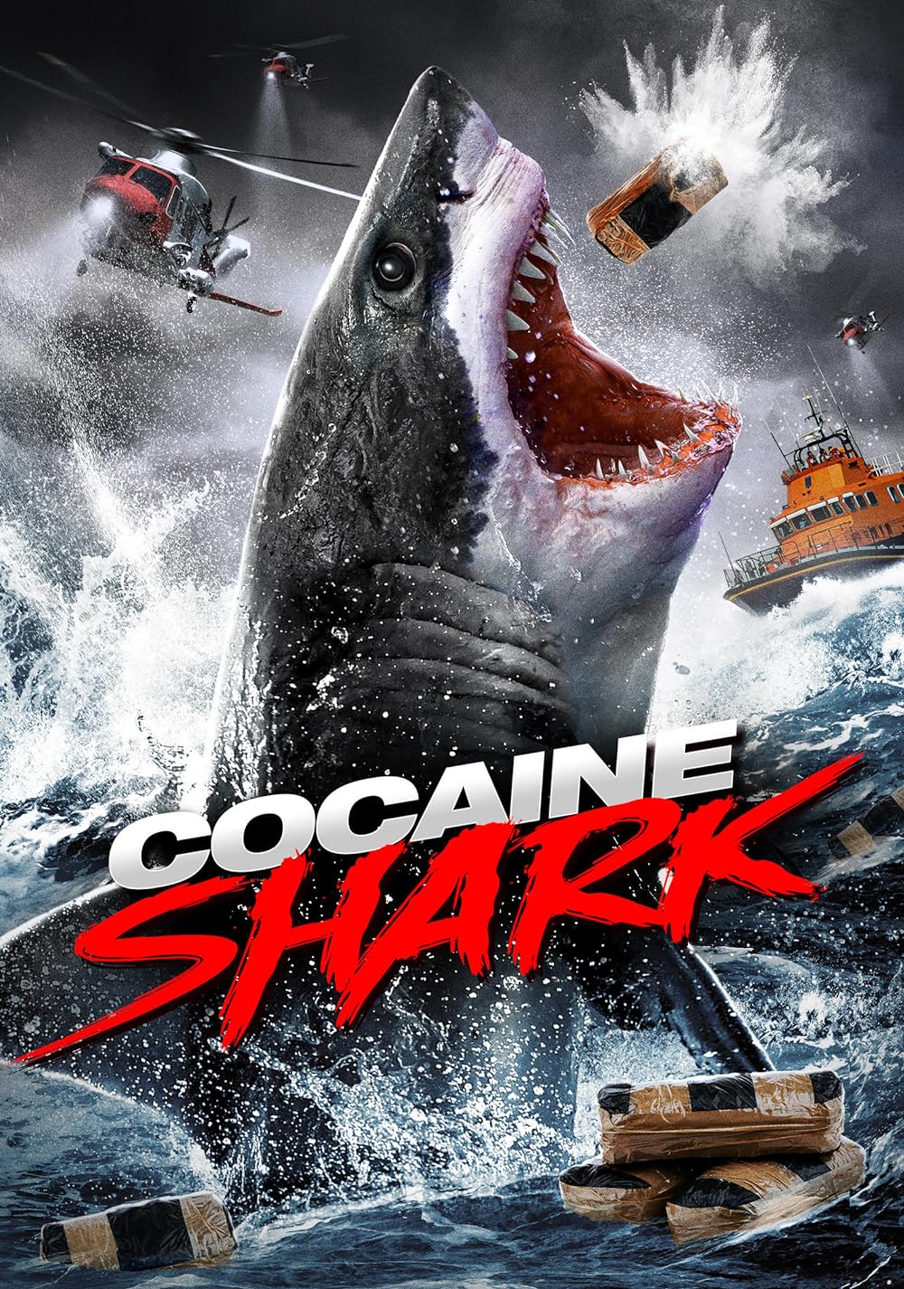 Cocaine Cocaine