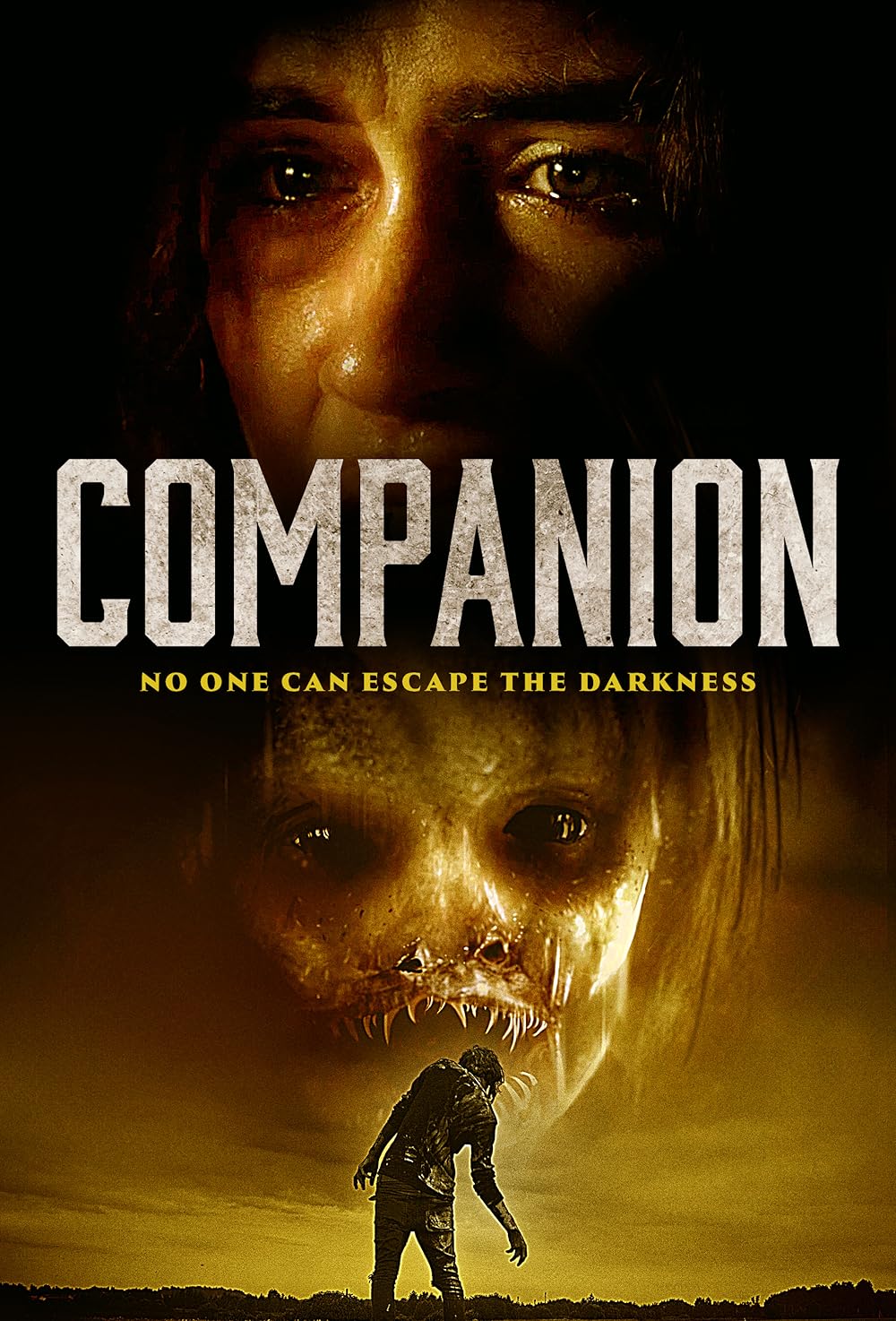 Companion Companion
