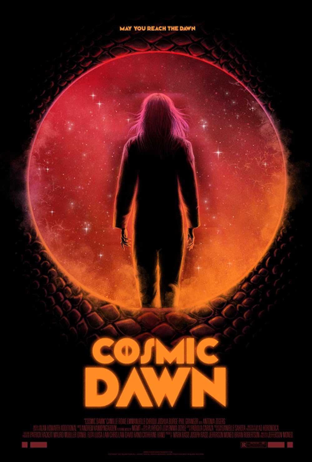 Cosmic Cosmic