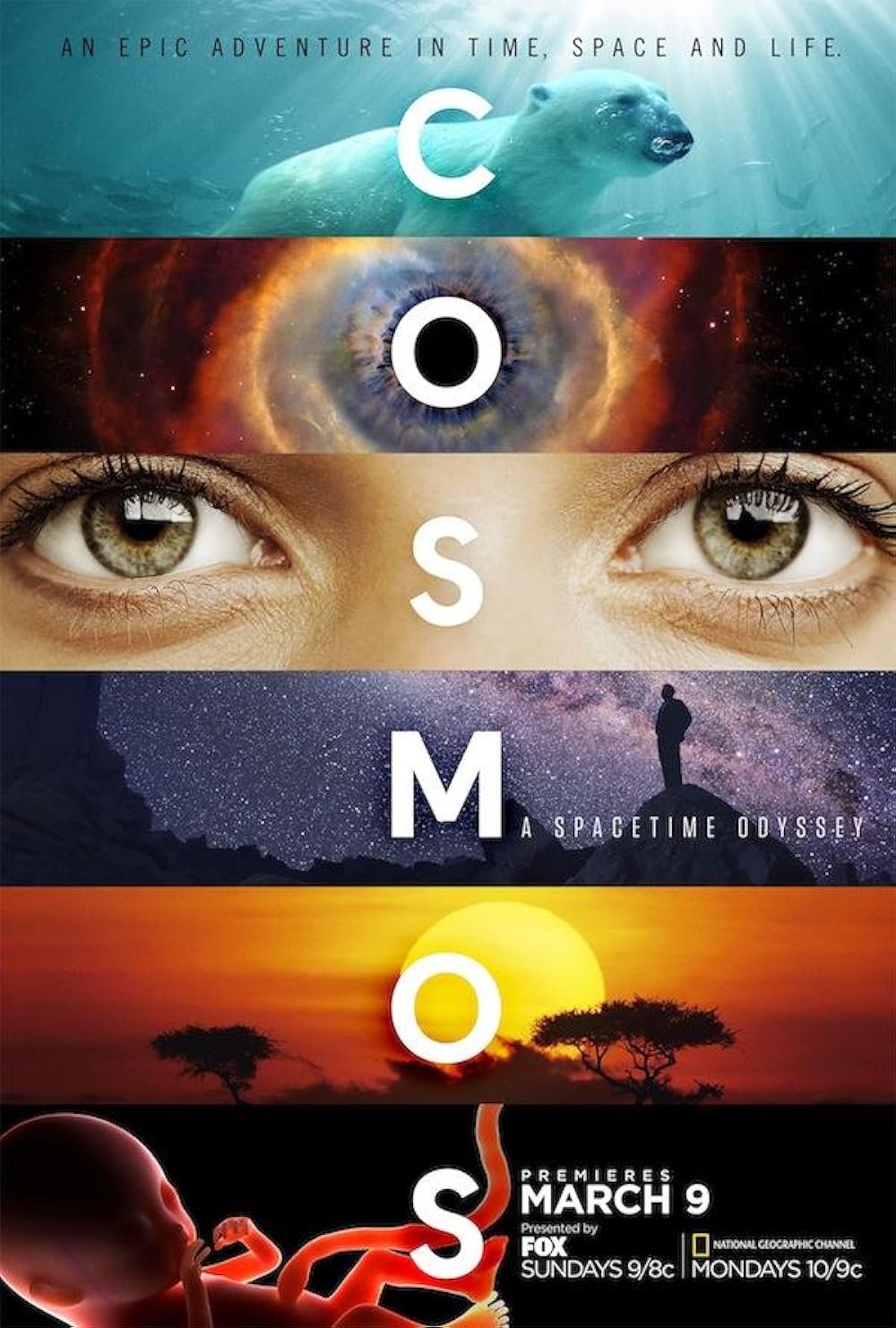 Cosmos: Cosmos: