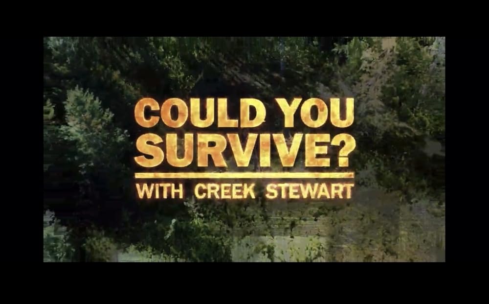Could