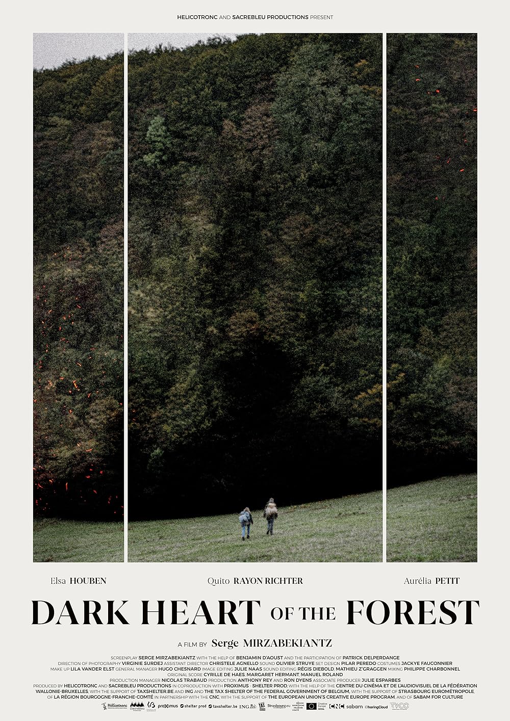 Dark Dark