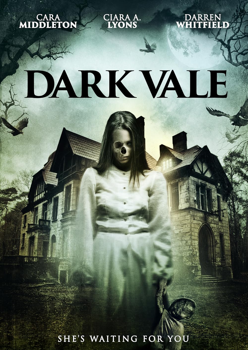 Dark Dark