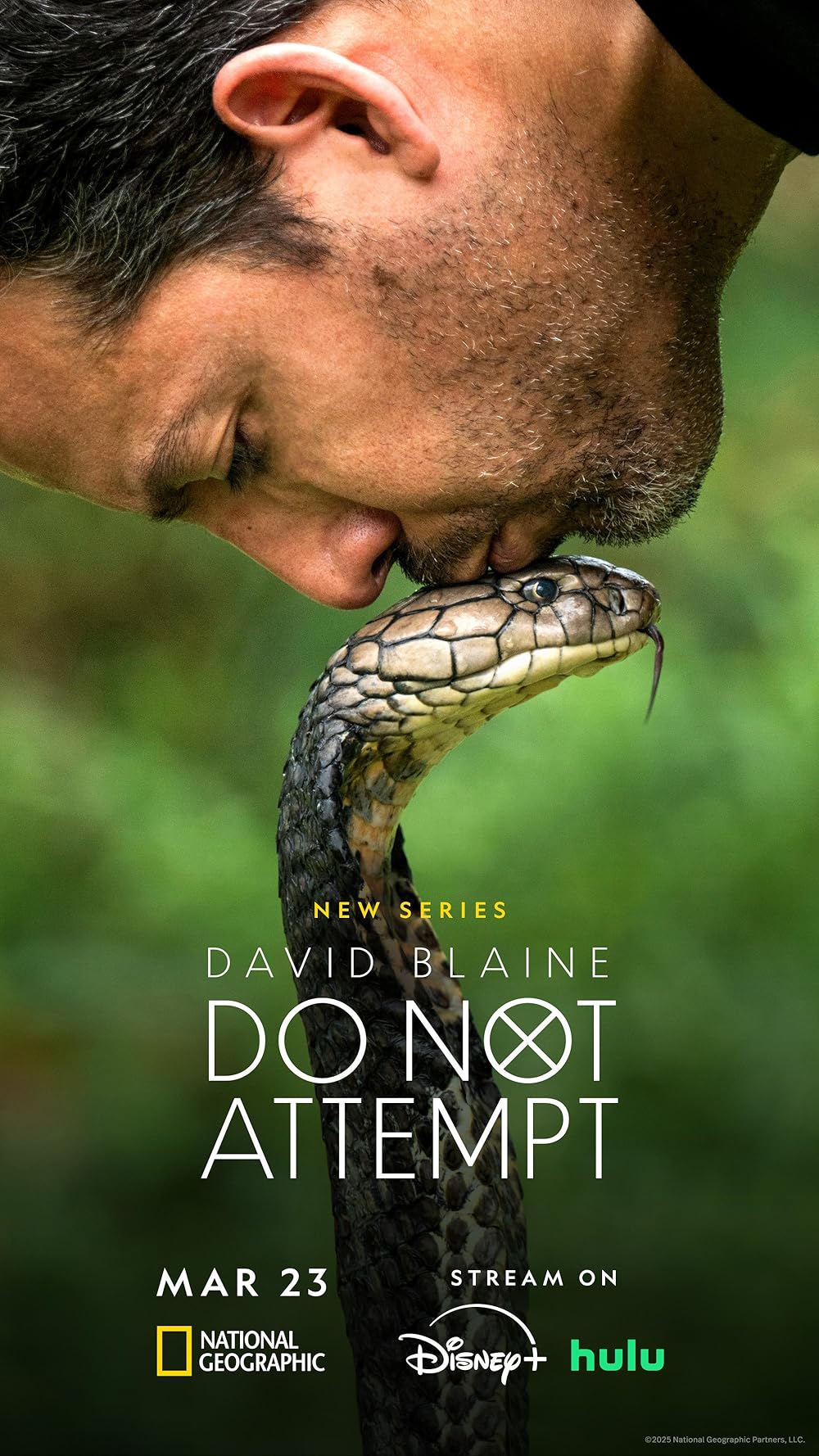 David David