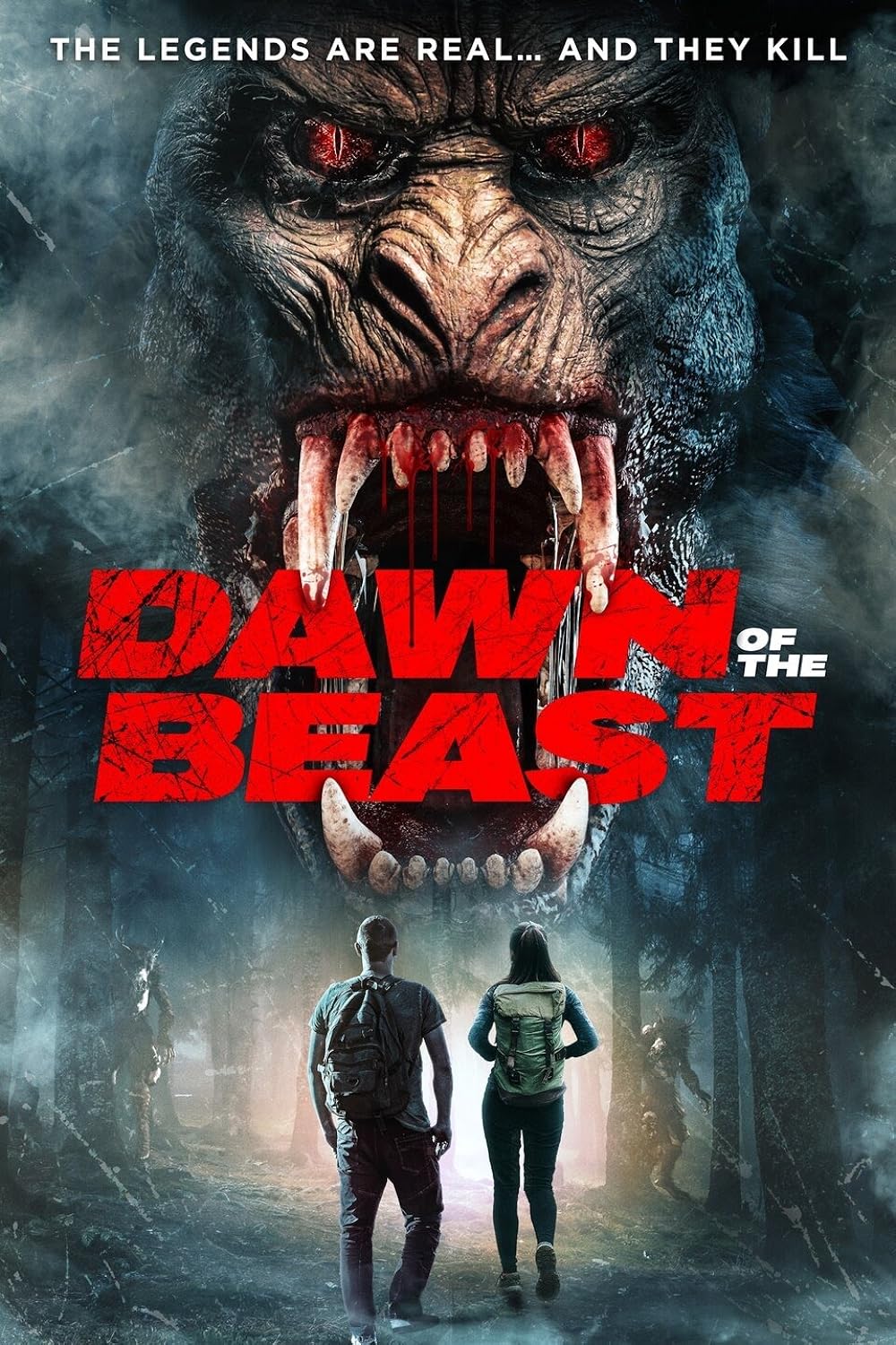 Dawn Dawn