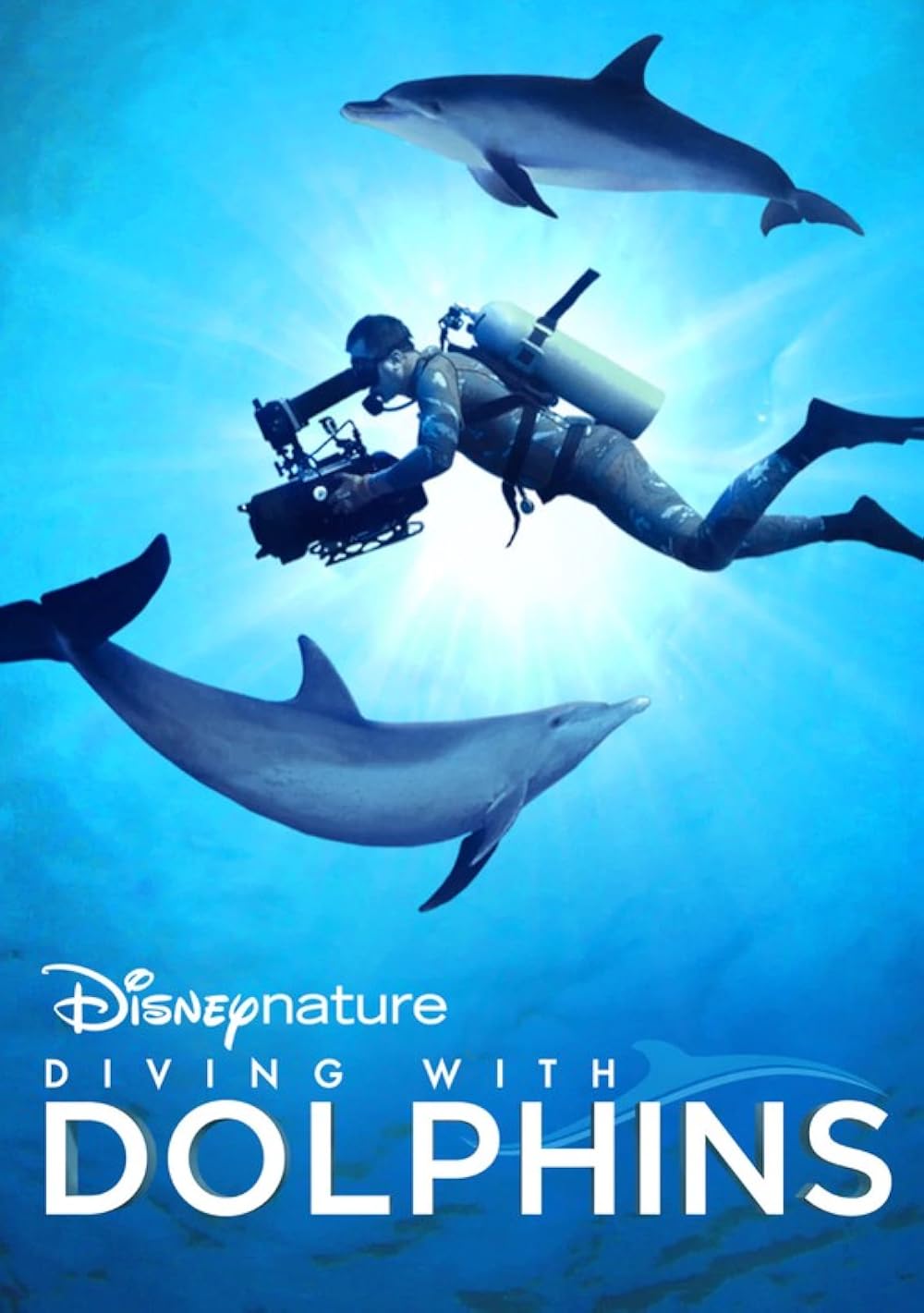 Diving Diving