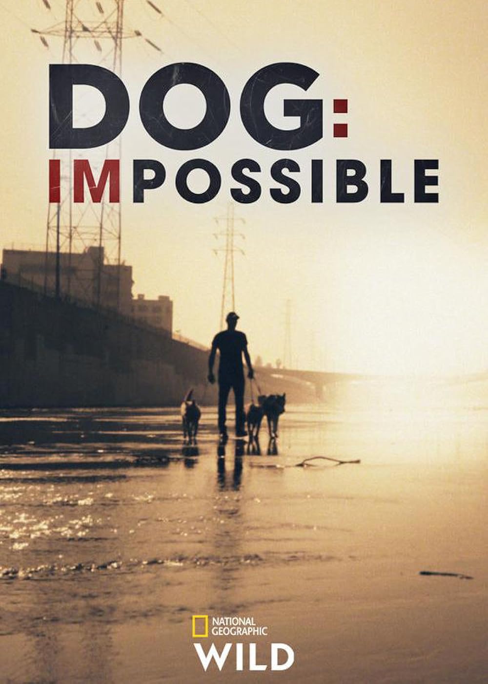 Dog: