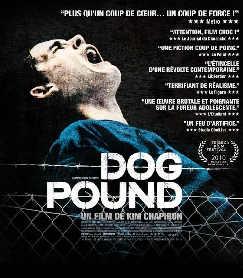 Dog Dog