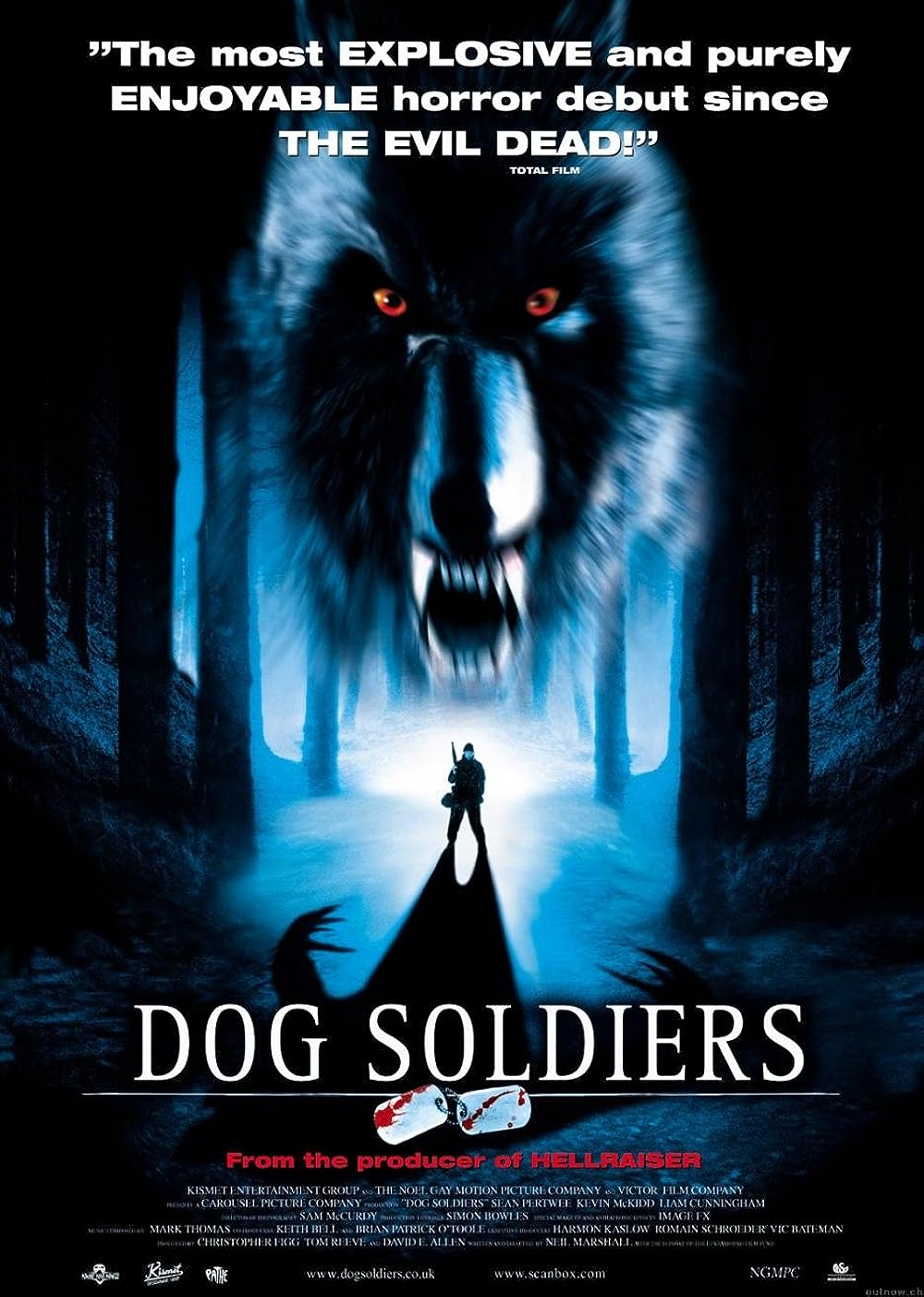 Dog
