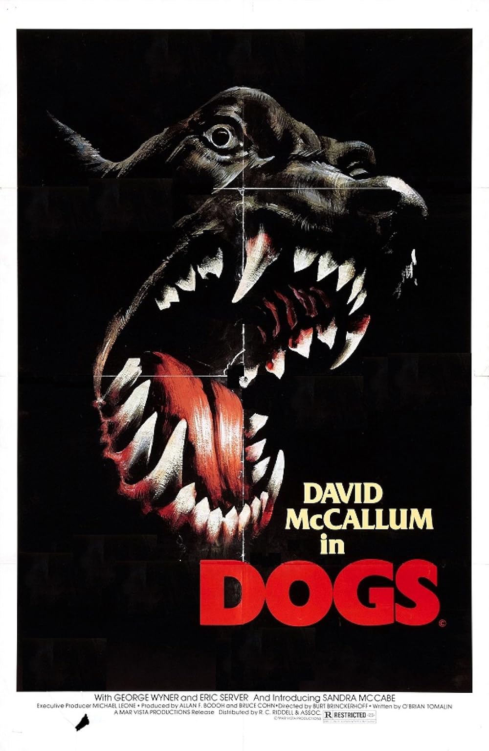 Dogs Dogs