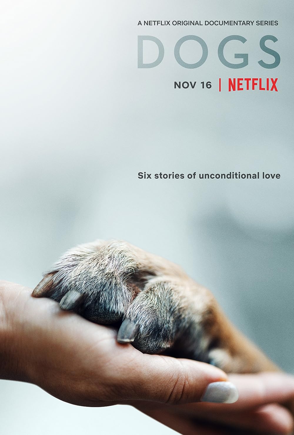 Dogs Dogs
