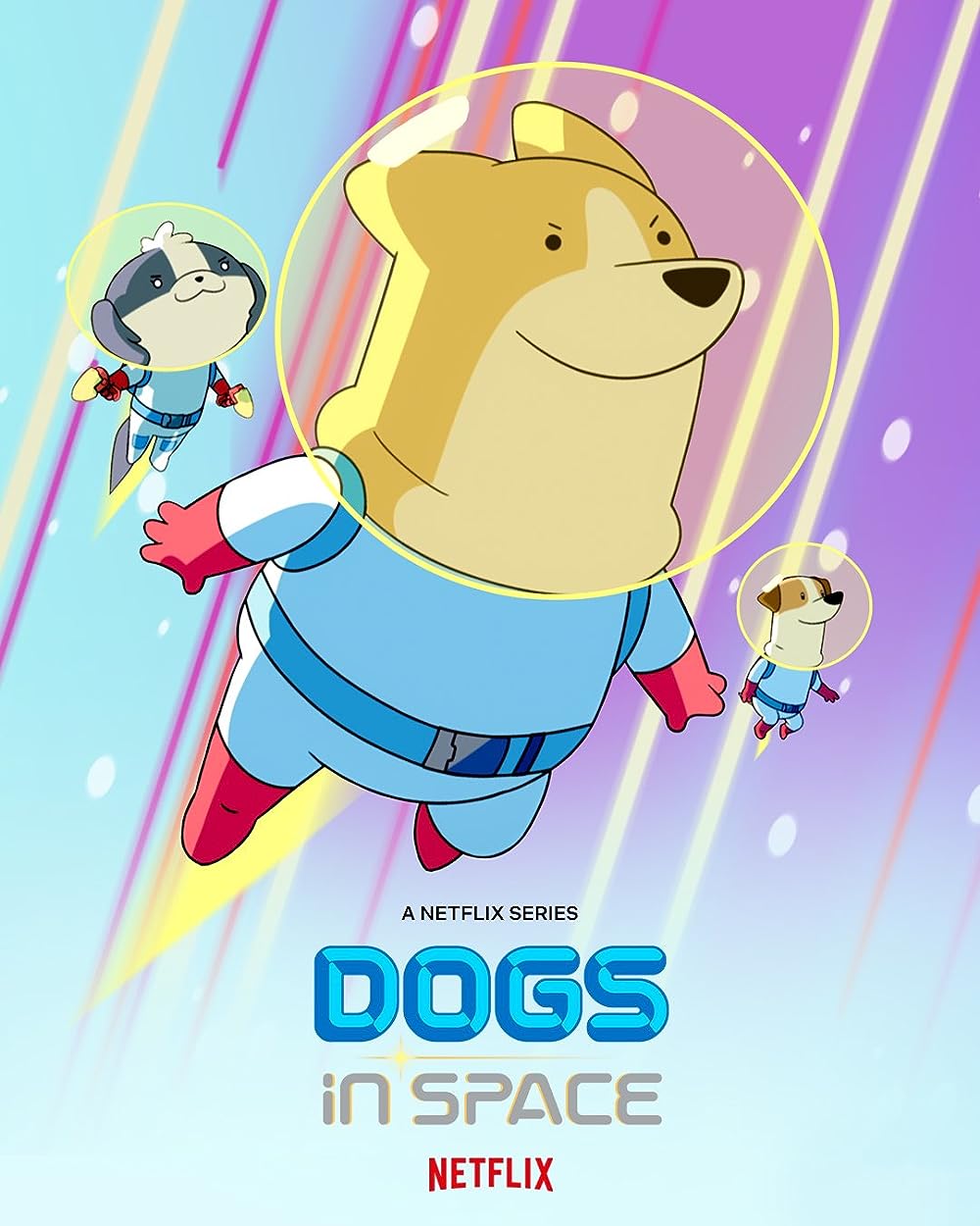 Dogs Dogs