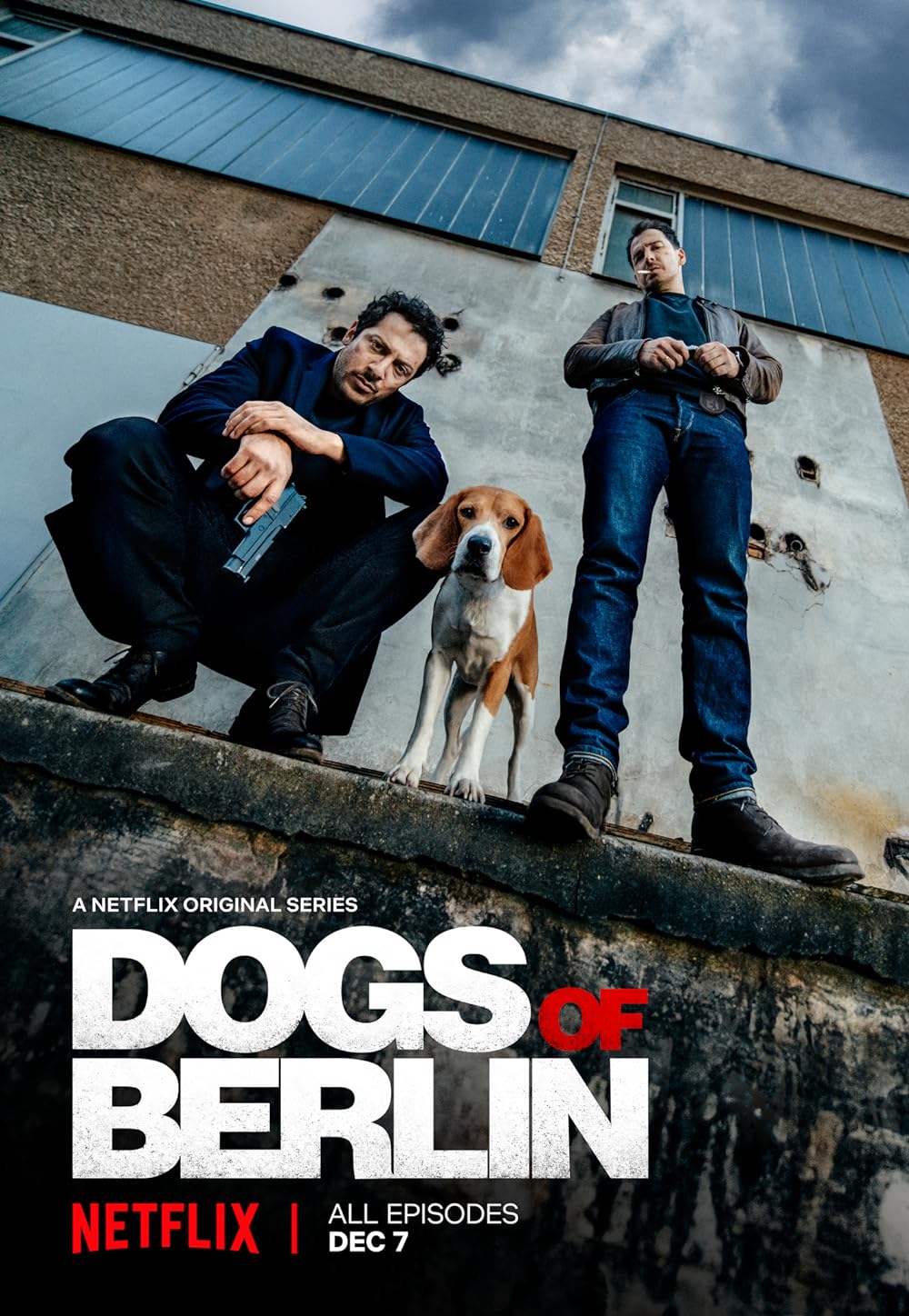 Dogs Dogs