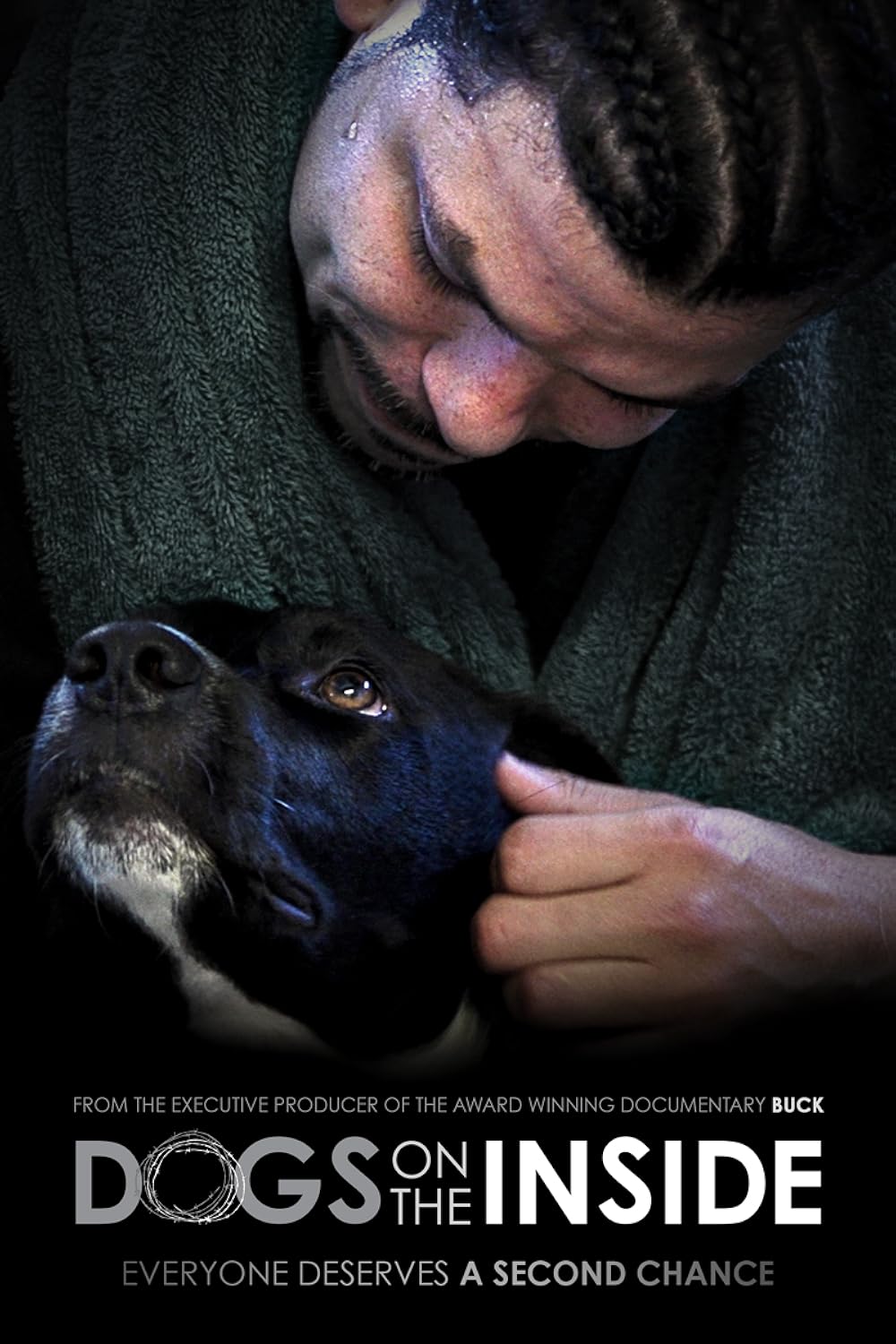 Dogs