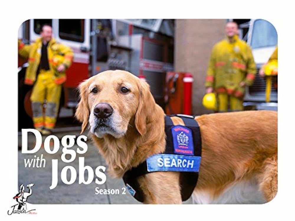 Dogs