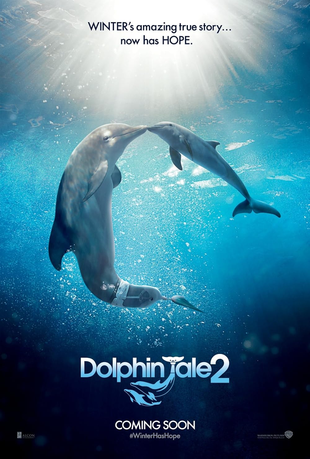 Dolphin