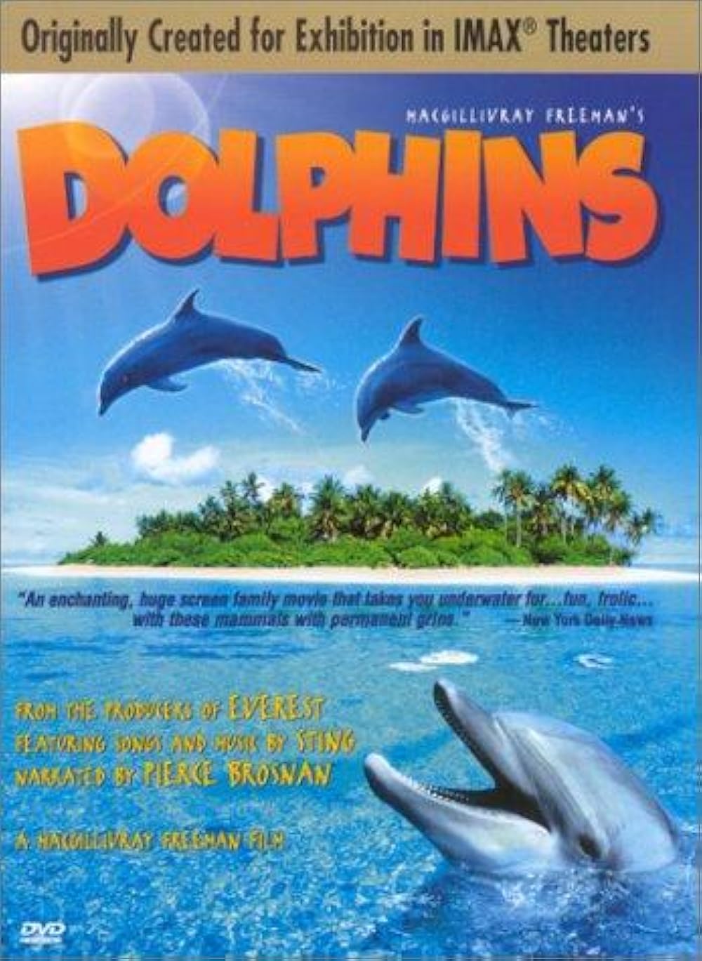 Dolphins Dolphins