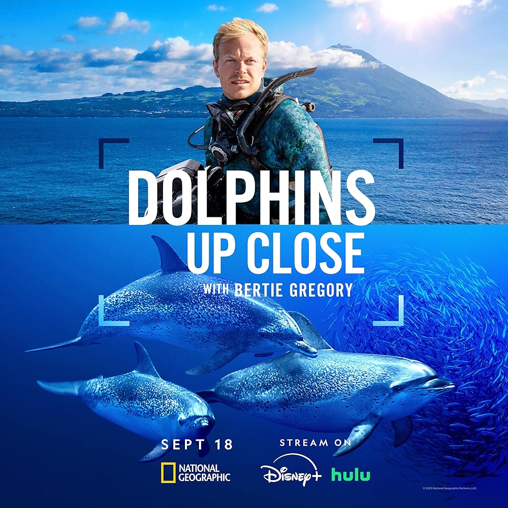Dolphins
