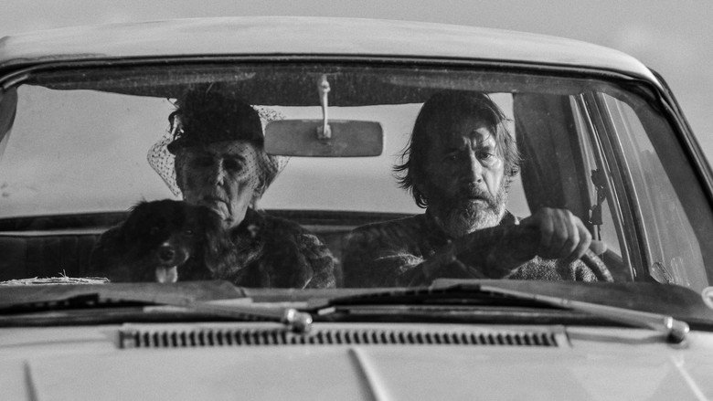 Driving Driving