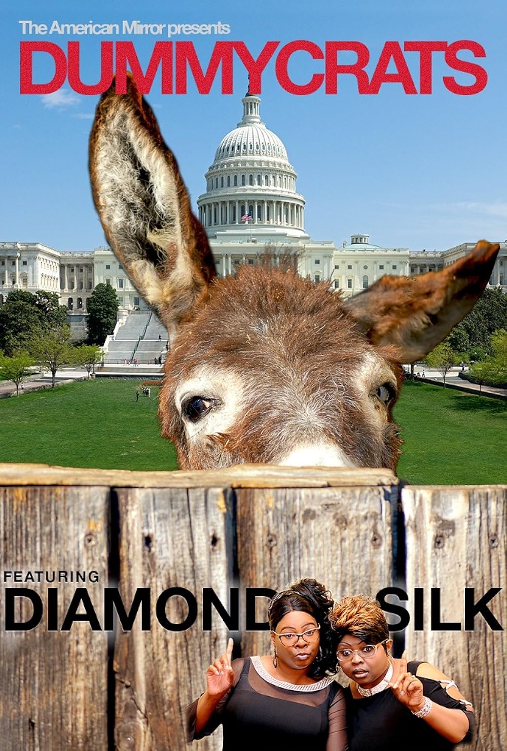 Dummycrats Dummycrats