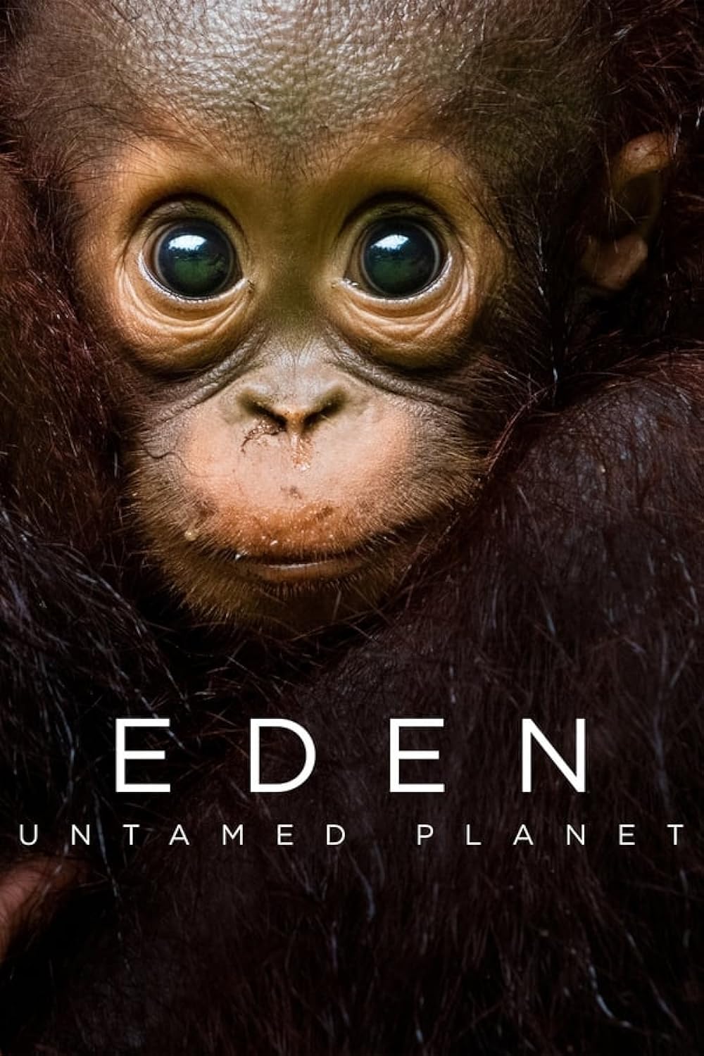 Eden: Eden: