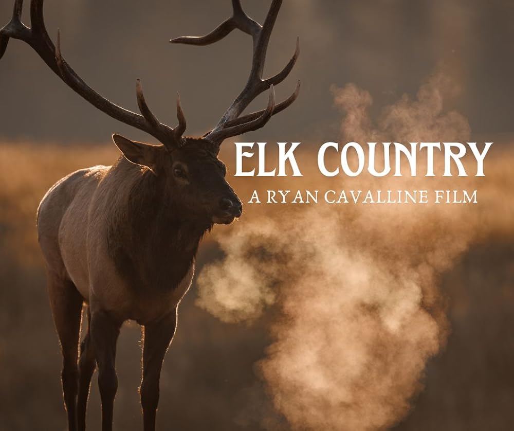 Elk Elk