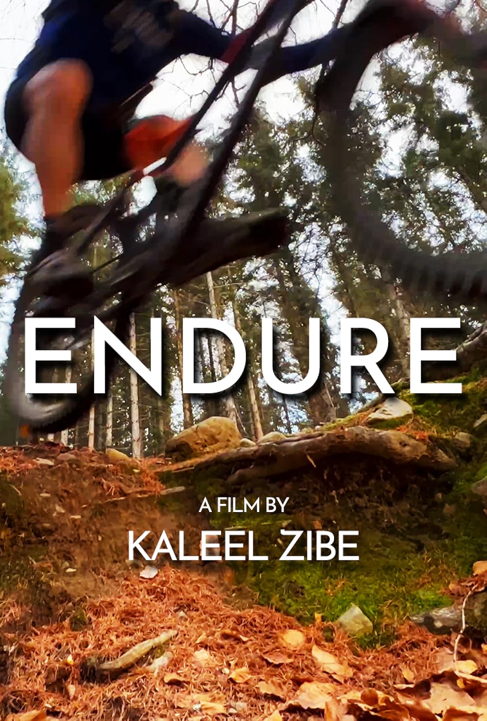 Endure Endure