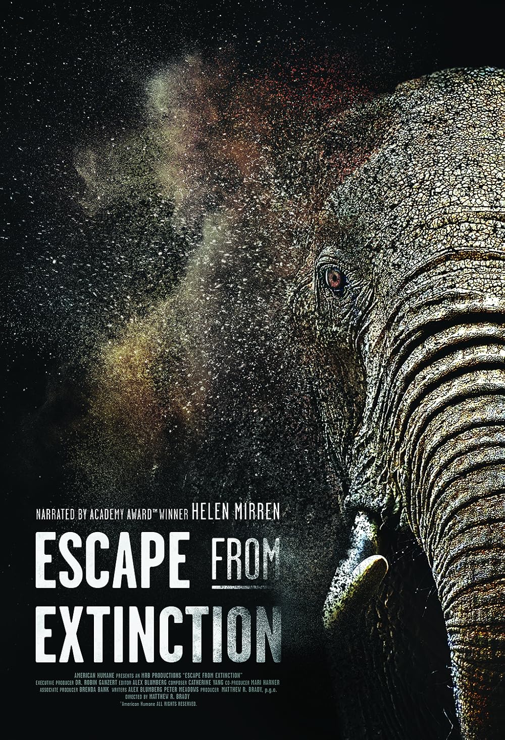 Escape Escape