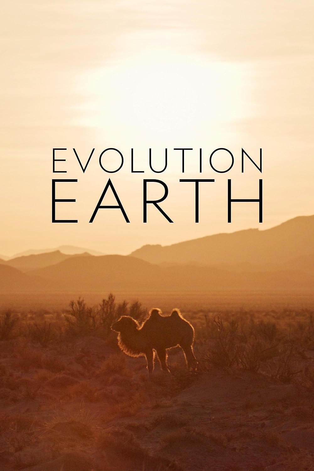 Evolution Evolution