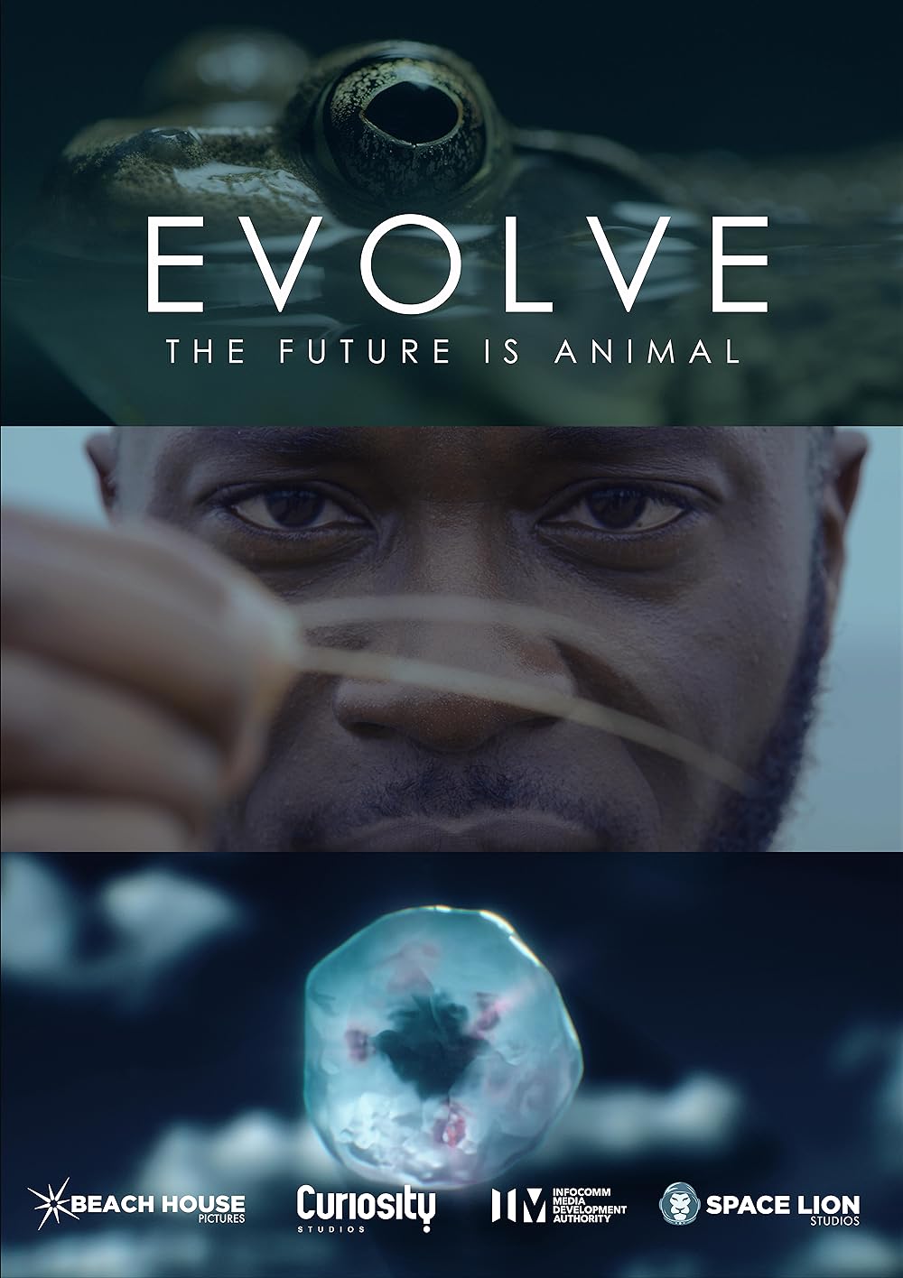Evolve Evolve