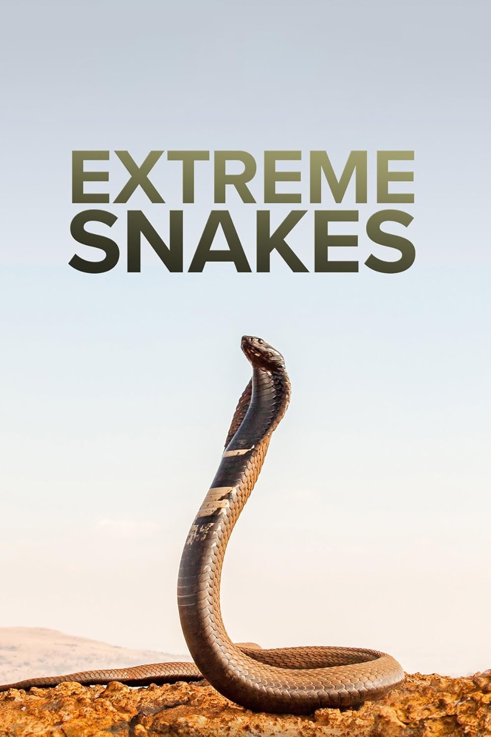 Extreme Extreme