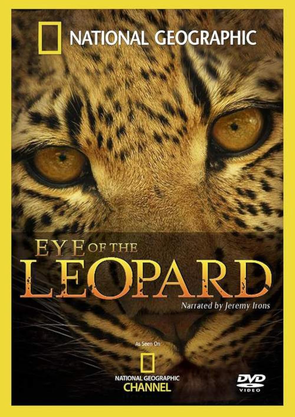 Eye Eye