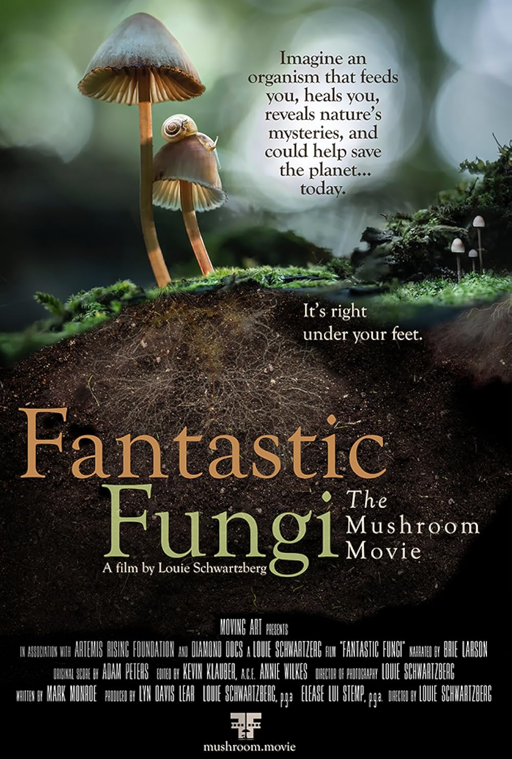 Fantastic Fantastic