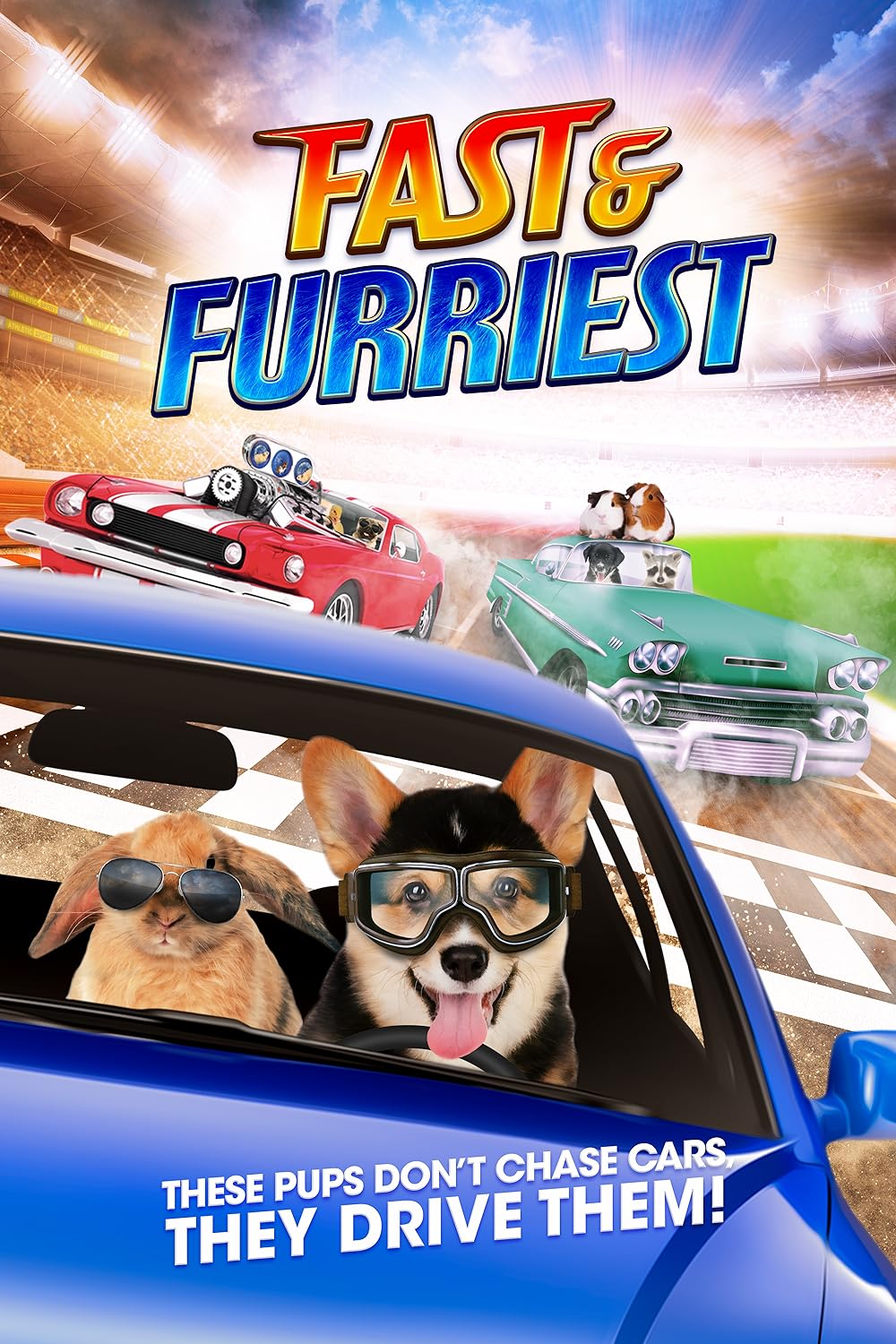 Fast Fast