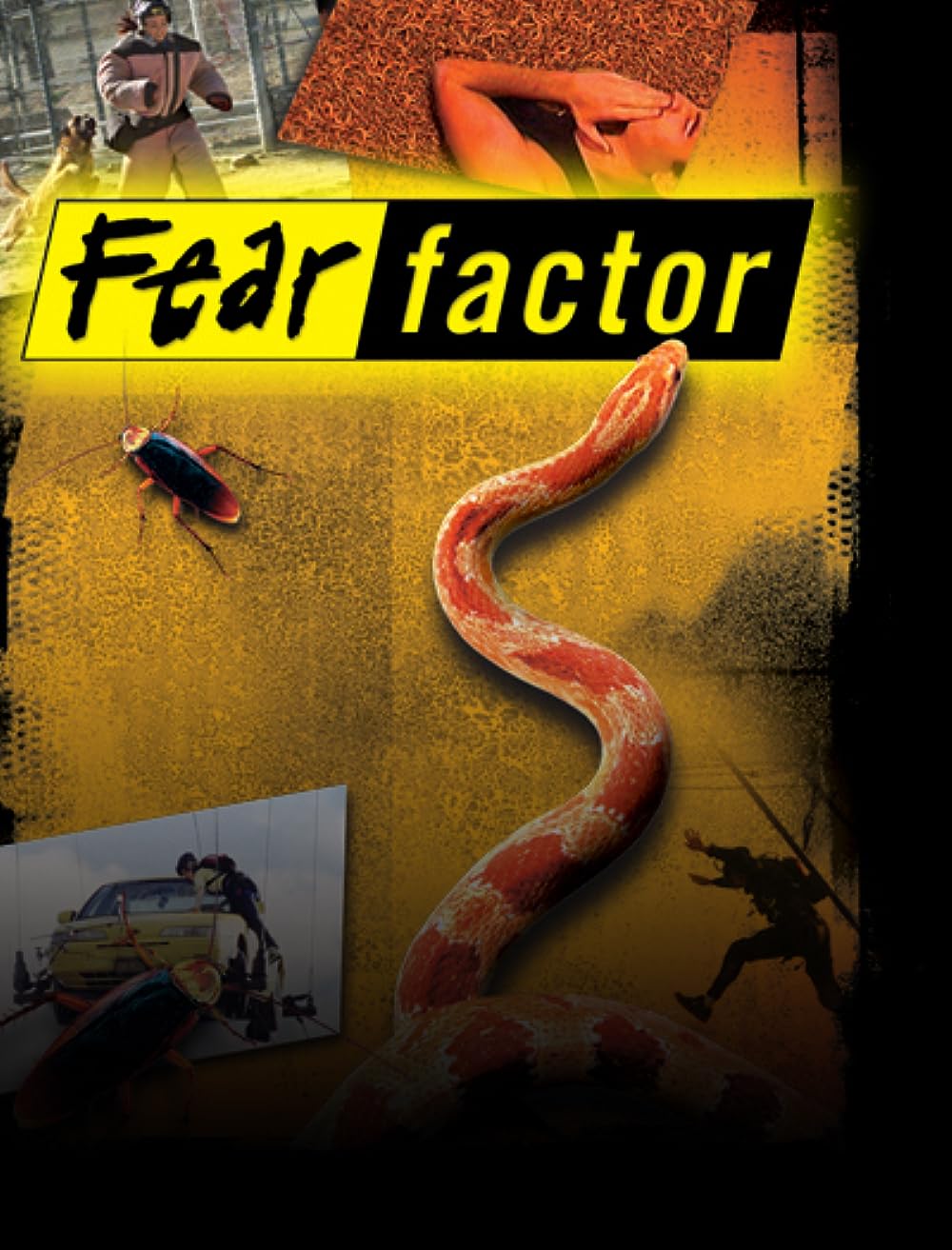 Fear