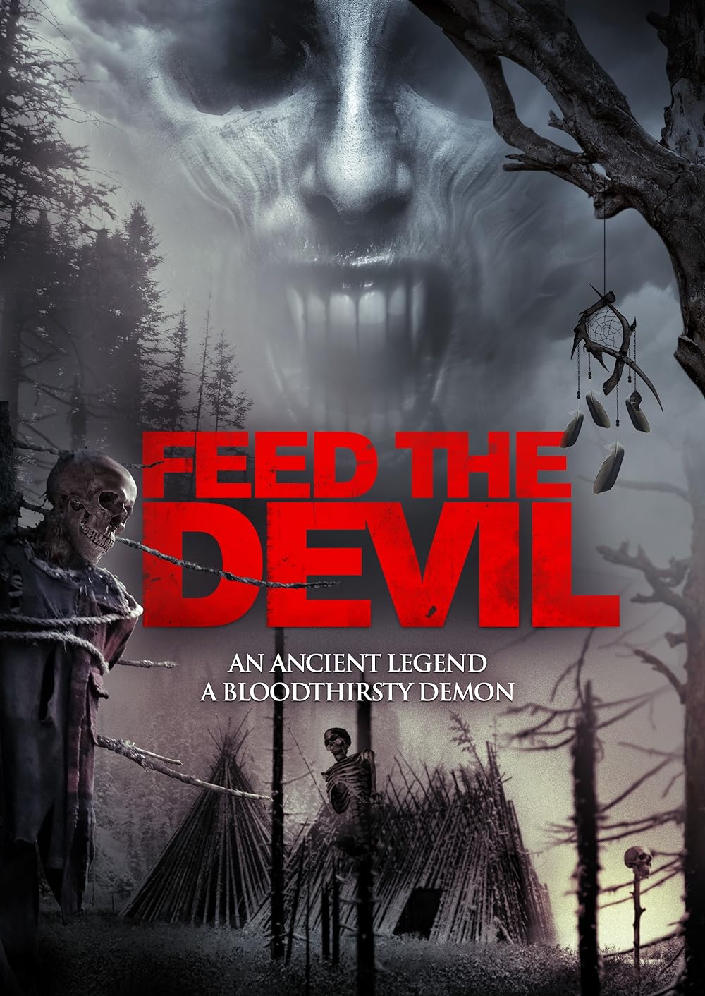 Feed Feed