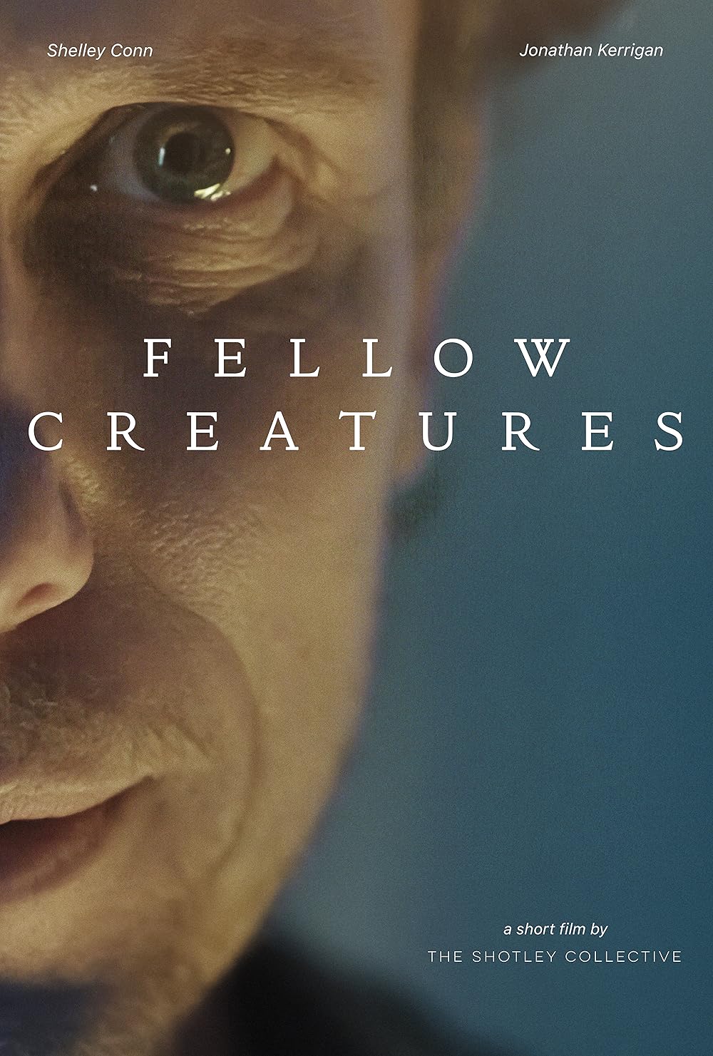 Fellow Fellow