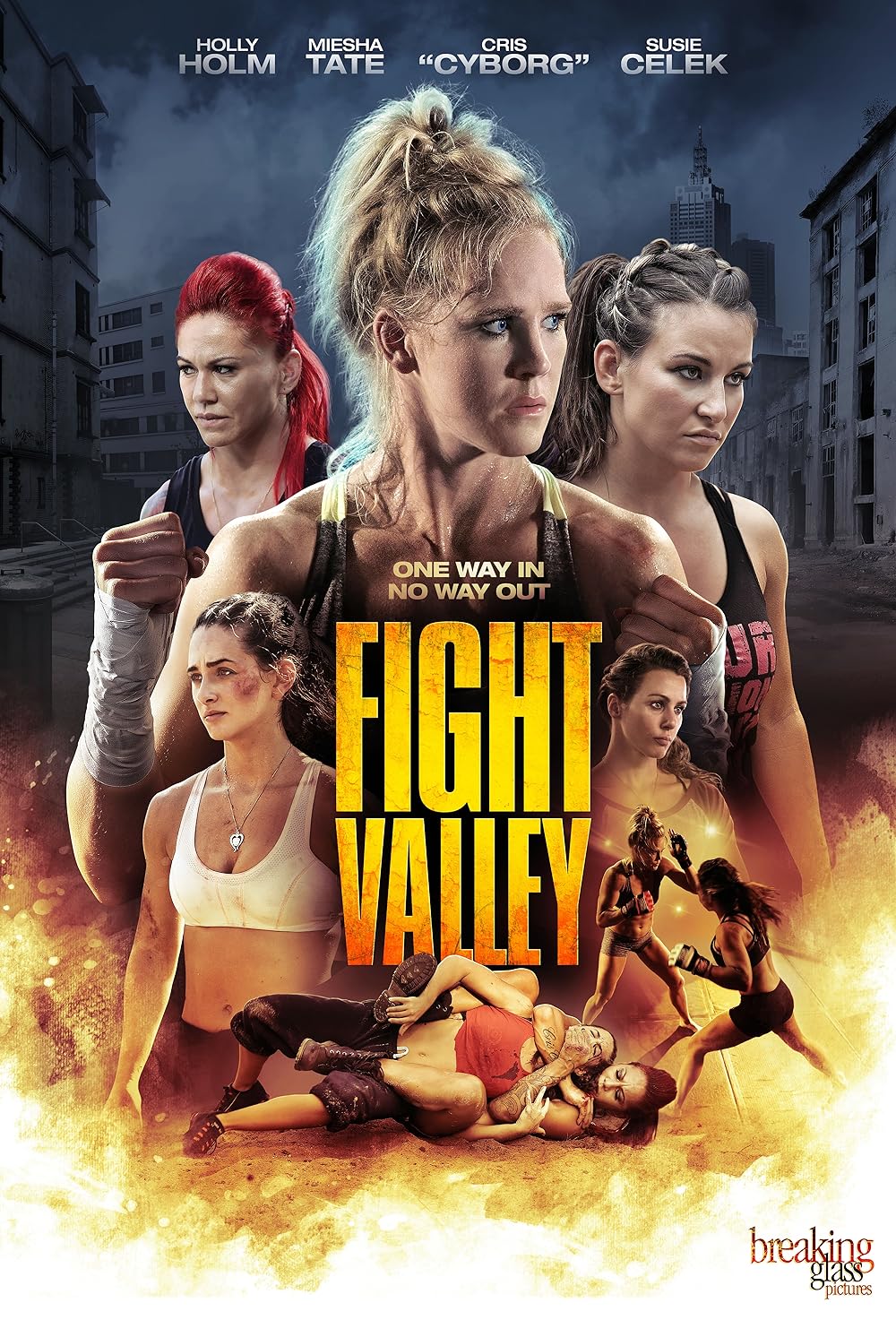 Fight Fight