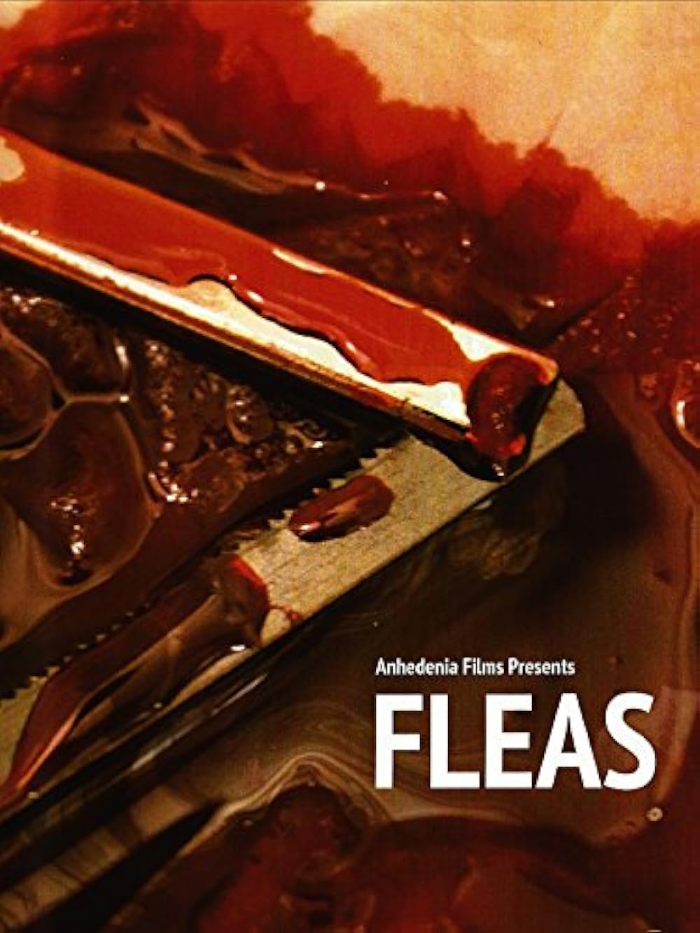Fleas Fleas