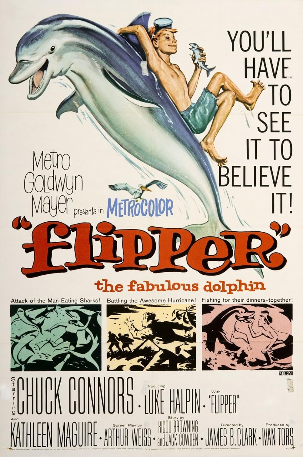 Flipper Flipper