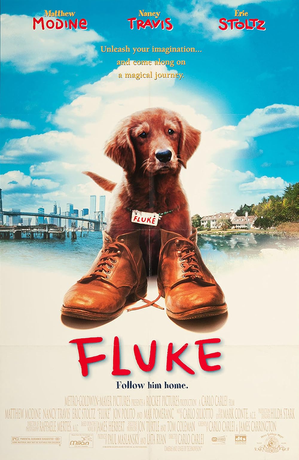 Fluke Fluke