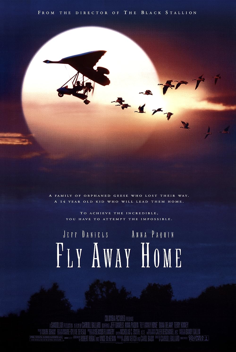 Fly Fly