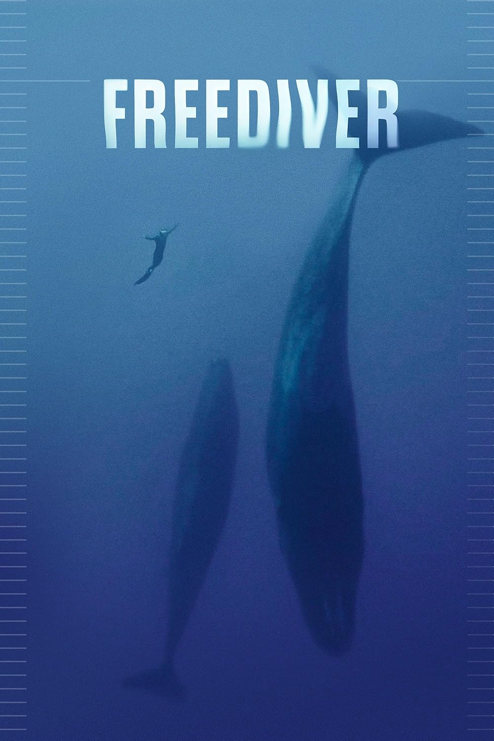 Freediver Freediver